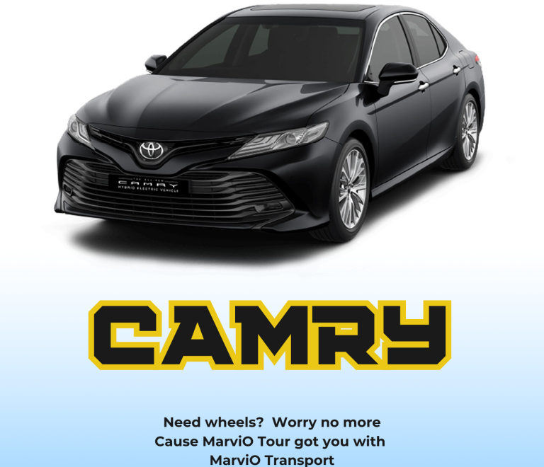 CAMRY rental poster