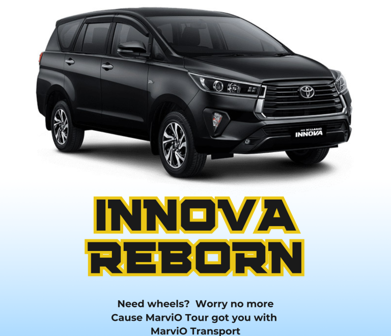 INNOVA REBORN rental poster