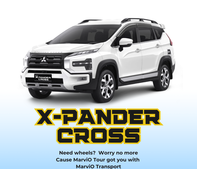 X-PANDER CROSS rental poster