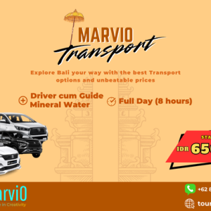 Transport Only for 1 Day Tour