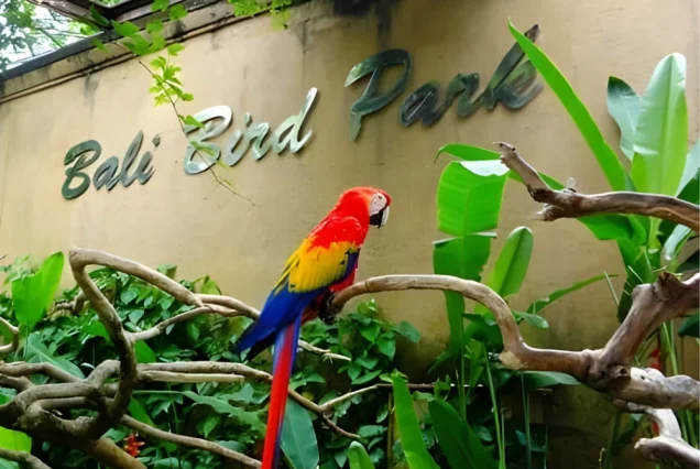 Bali Bird Park