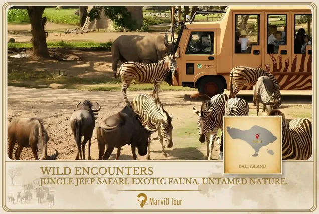 Bali Safari