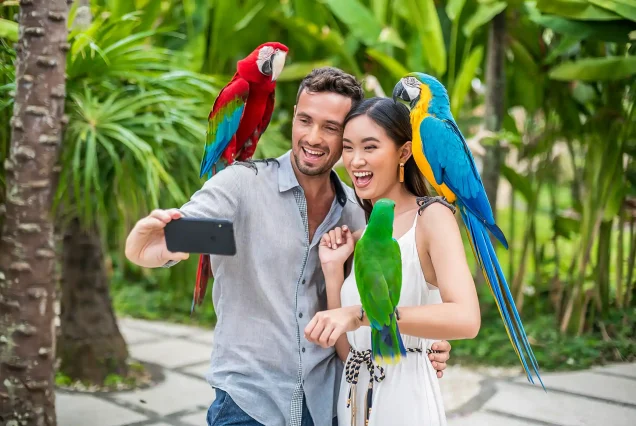 Bali Bird Park