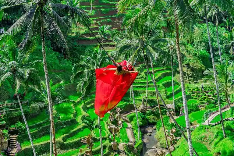 rice terrace in ubud bali