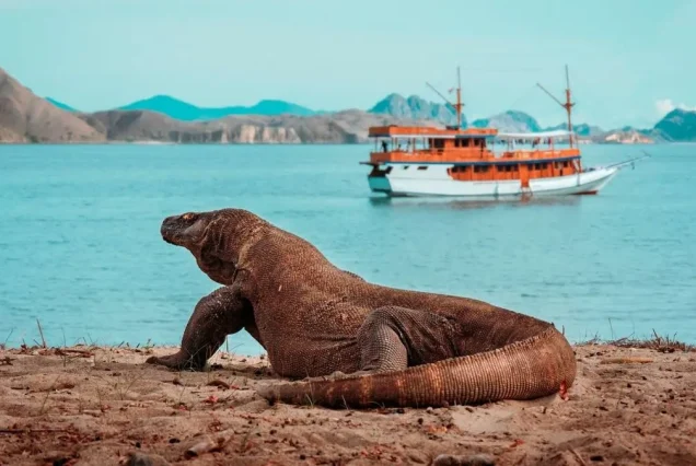 3D2N Fantastic Labuan Bajo Tour