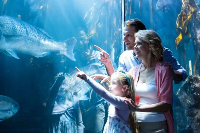 Safari & Marine Package