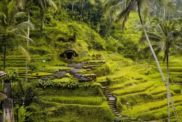 Ubud Tour