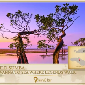 Sumba 4 Days 3 Nights