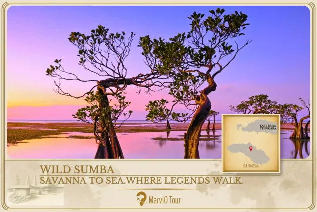 Sumba 4 Days 3 Nights