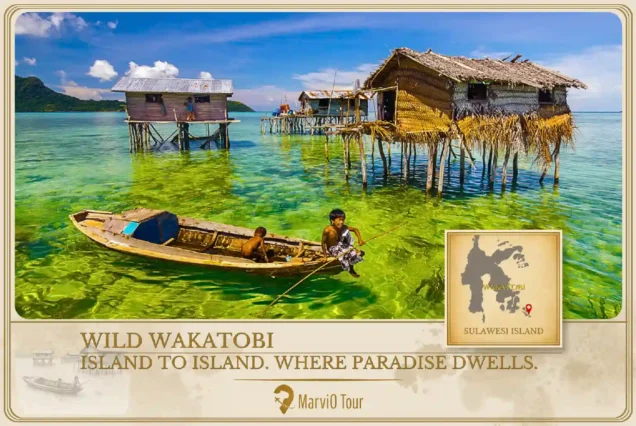 4D3N Explore Wakatobi Tour:  Wangi-Wangi & Tomia Island Gems